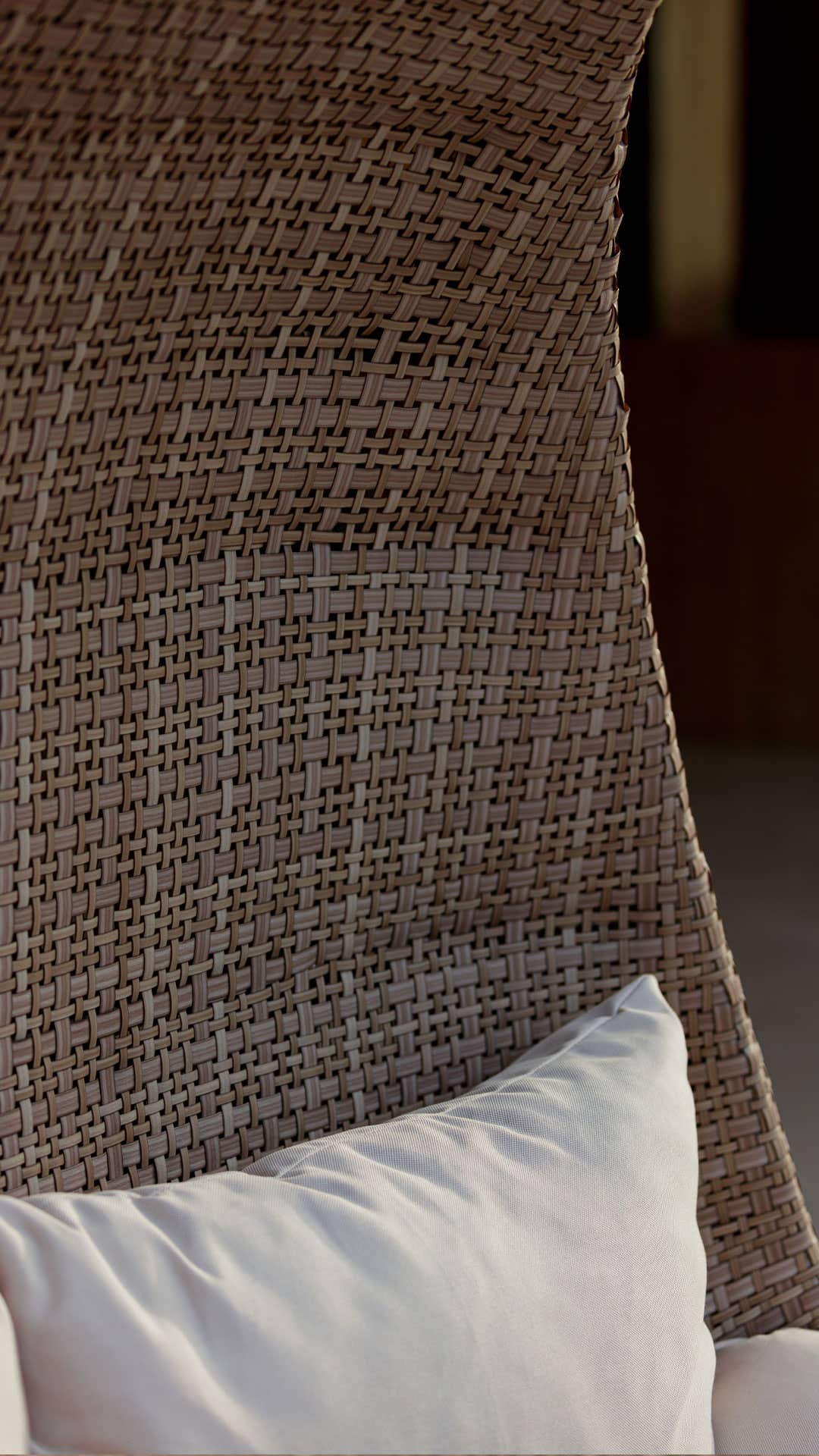 PALOMA IVORY NATURAL WOVEN DOUBLE HANGING CHAIR